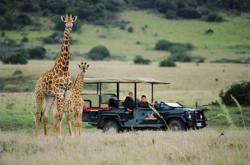 Amakhala Safari Lodge Paterson Extérieur photo