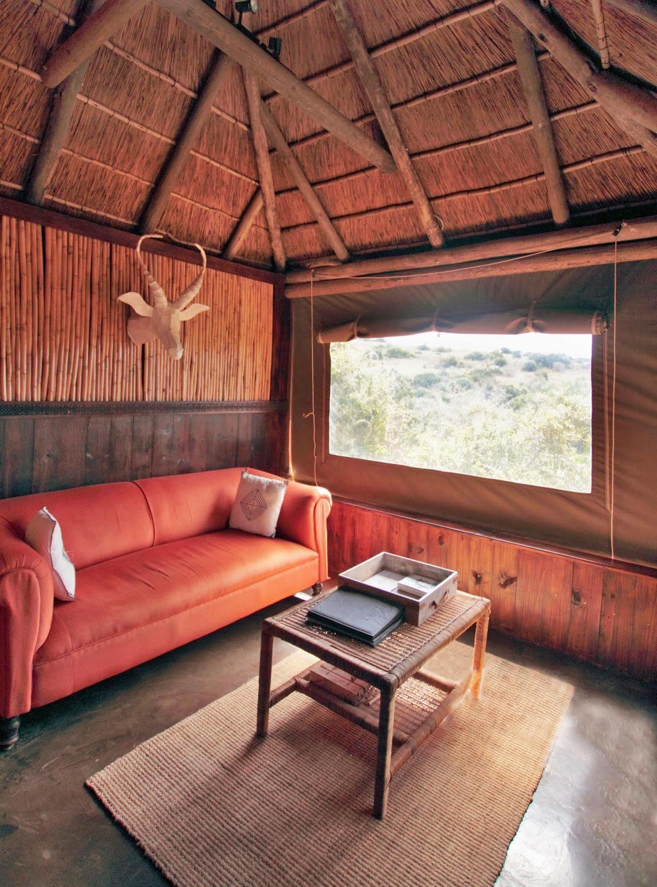 Amakhala Safari Lodge Paterson Extérieur photo
