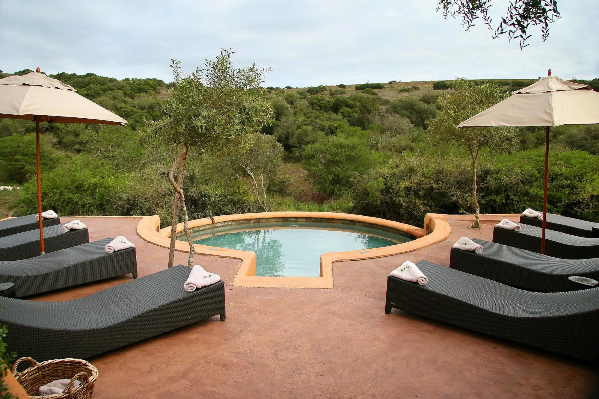 Amakhala Safari Lodge Paterson Extérieur photo
